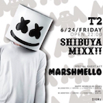 Marshmello at T2 Tokyo